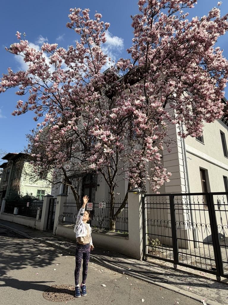 A child standing on a sidewalk with a tree in front of herAI-generated content may be incorrect.