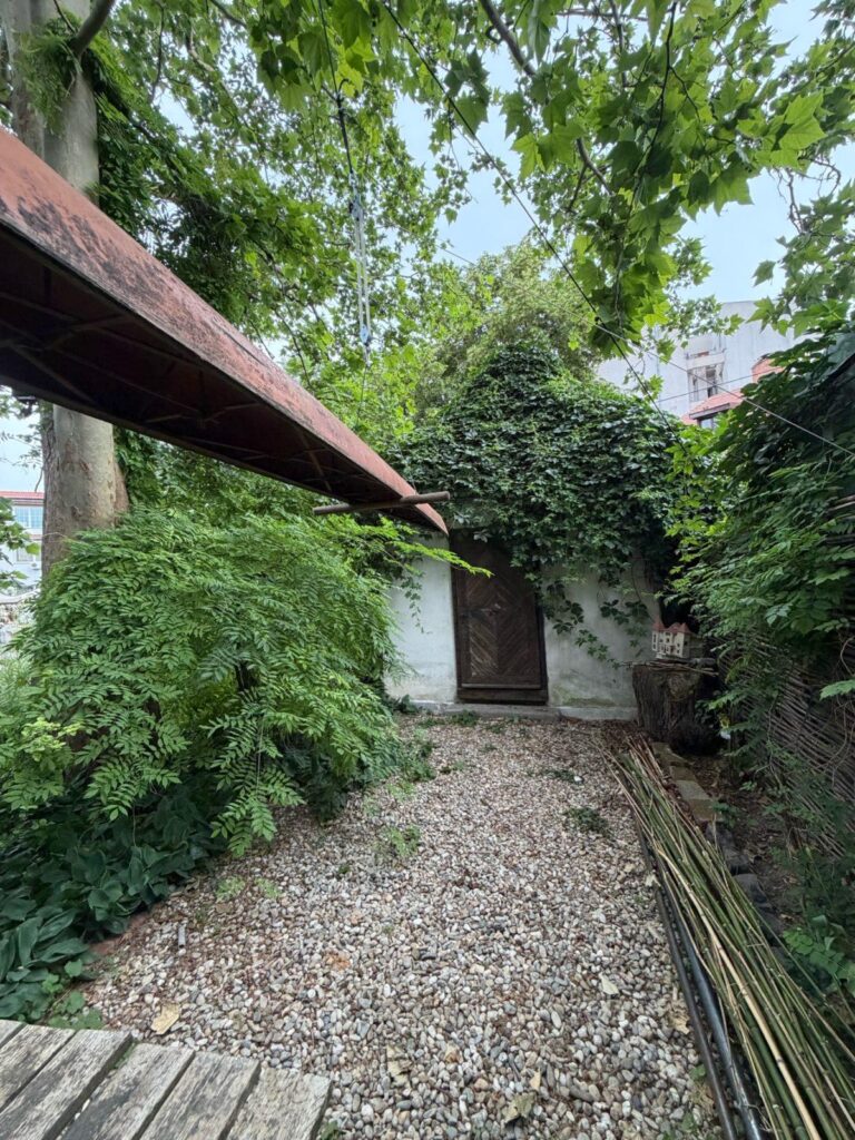 A gravel path with plants and a door AI-generated content may be incorrect.